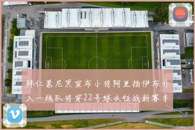 拜仁慕尼黑宣布小将阿里扬伊布升入一线队将穿22号球衣征战新赛季