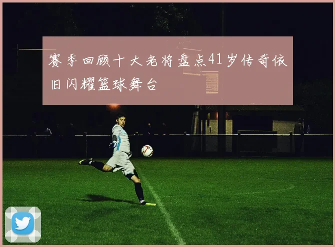 赛季回顾十大老将盘点41岁传奇依旧闪耀篮球舞台